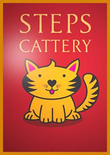 Steps Cattery Stafford