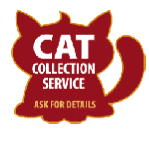 Steps Cattery Stafford cat collection service